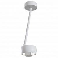 Светильник на штанге Maytoni Lens MOD072CL-L8W3K. Фото №1