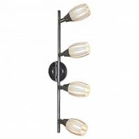 Спот Lussole Brindidi LSX-6709-04 фото Спот Lussole Brindidi LSX-6709-04