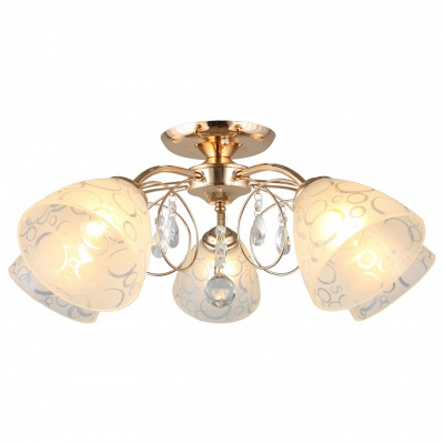 Потолочная люстра Omnilux Castellaro OML-29007-05. Фото