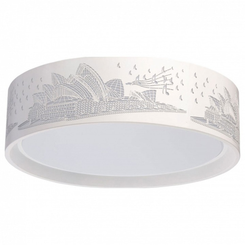 Накладной светильник MW-Light Ривз 674016001. Фото №1