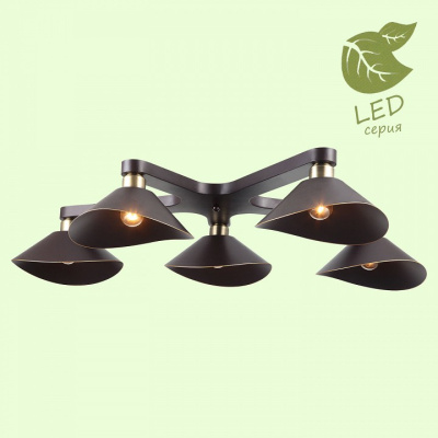 Потолочная люстра Lussole Opelika GRLSP-9535. Фото №2