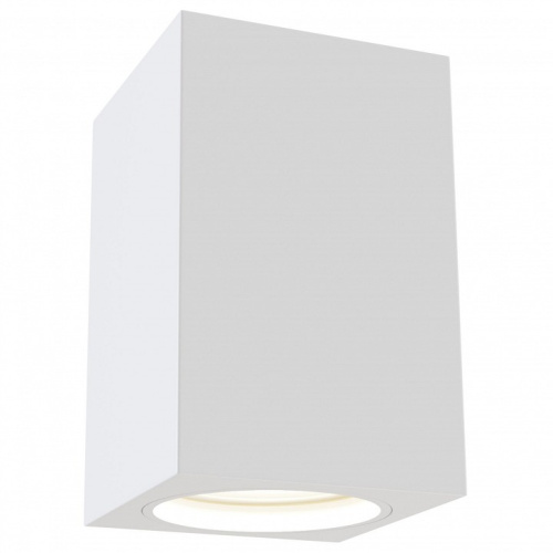 Накладной светильник Maytoni Focus C011CL-01W. Фото №1