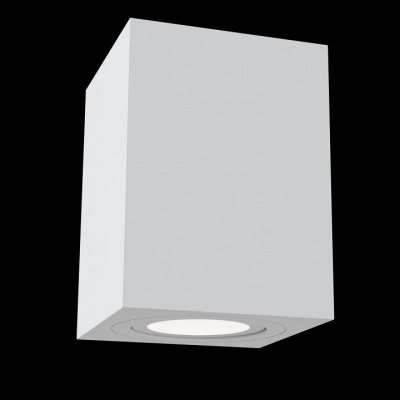 Накладной светильник Maytoni Atom C017CL-01W. Фото №2