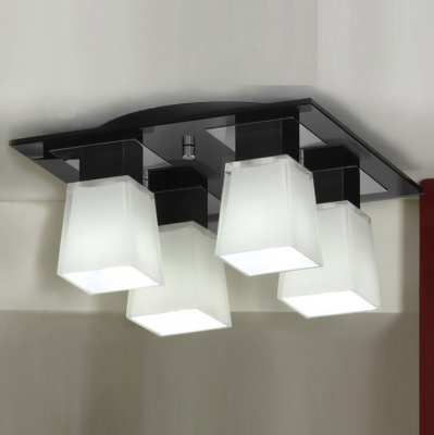 Накладной светильник Lussole Lente LSC-2507-04. Фото